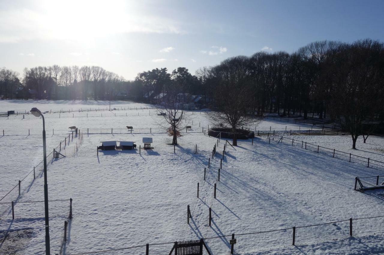 B&B Achterom Loon op Zand Buitenkant foto