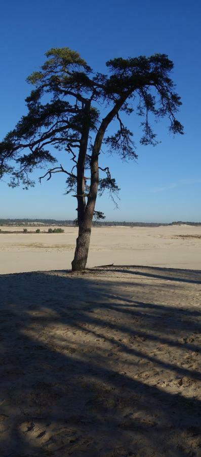 B&B Achterom Loon op Zand Buitenkant foto