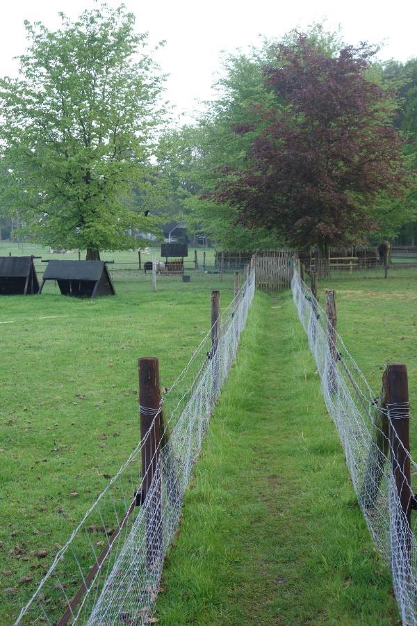 B&B Achterom Loon op Zand Buitenkant foto